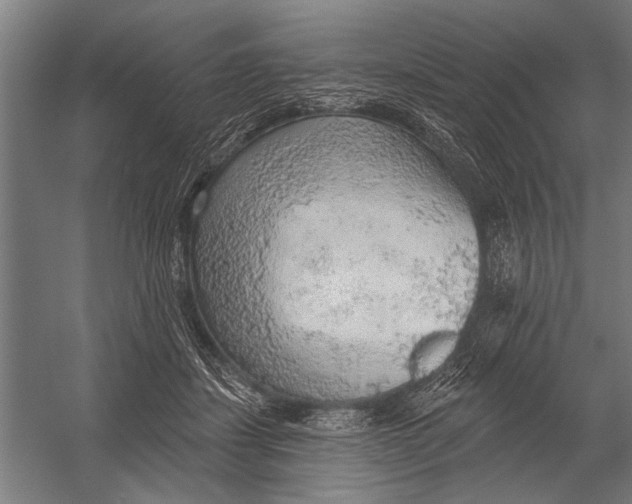 X0000052930459200507292356