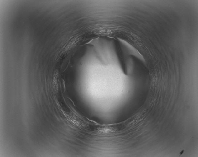 X0000052930460200507292356