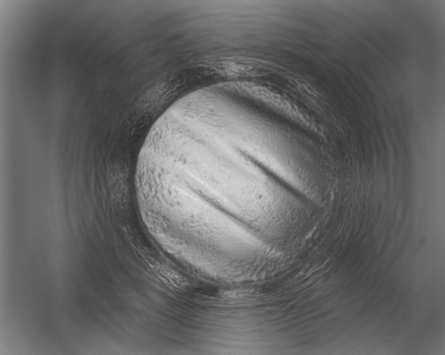 X0000052930461200507292356