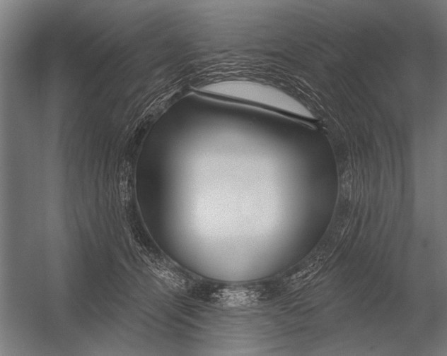 X0000052930464200507292357