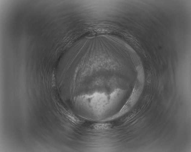 X0000052930465200507292357