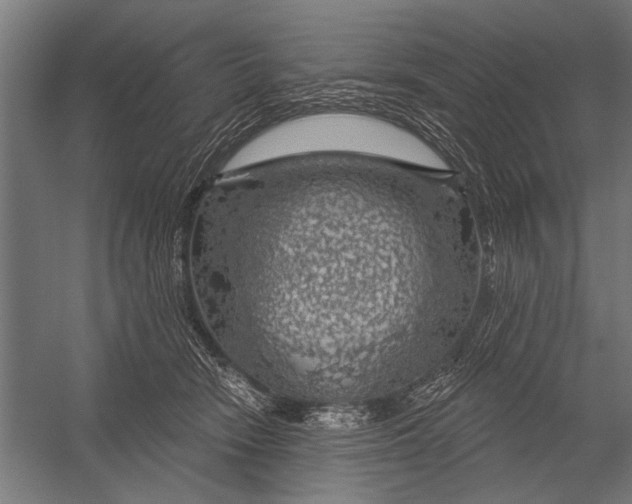 X0000052930466200507292357