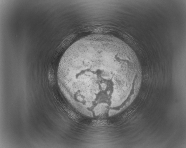 X0000052930469200507292357