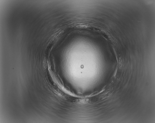 X0000052930474200507292357