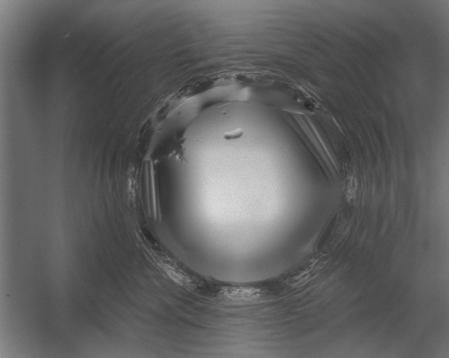 X0000052930476200507292357