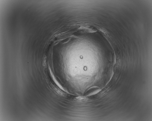 X0000052930477200507292357