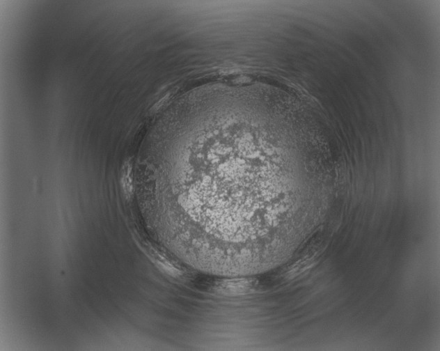 X0000052930479200507292357