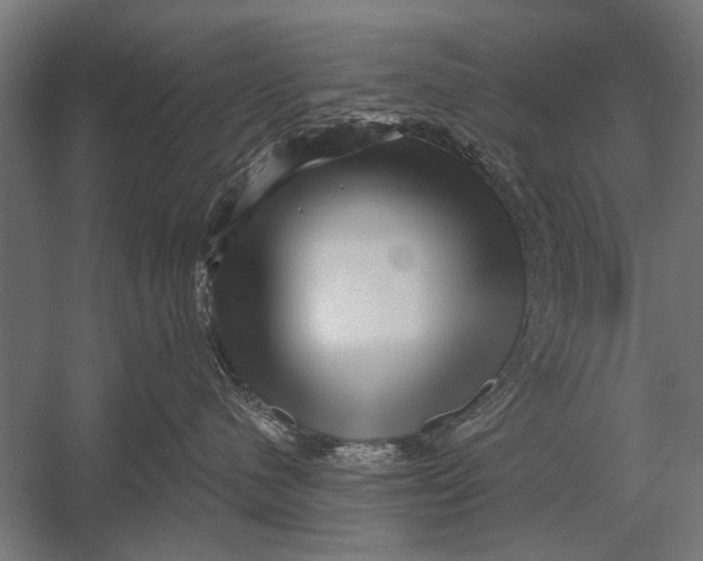 X0000052930480200507292357