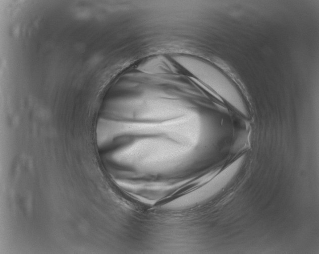 X0000052930481200507292356