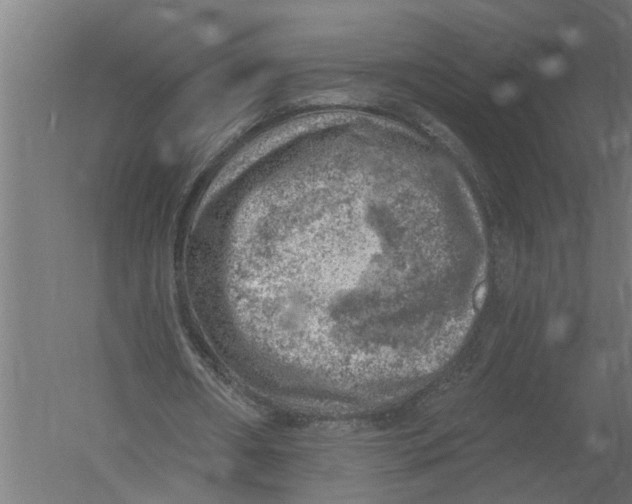 X0000052930482200507292356