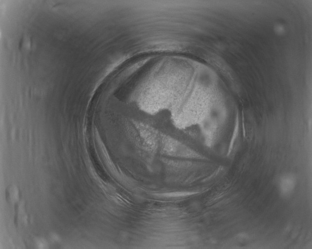 X0000052930483200507292356