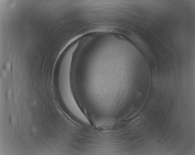 X0000052930484200507292356