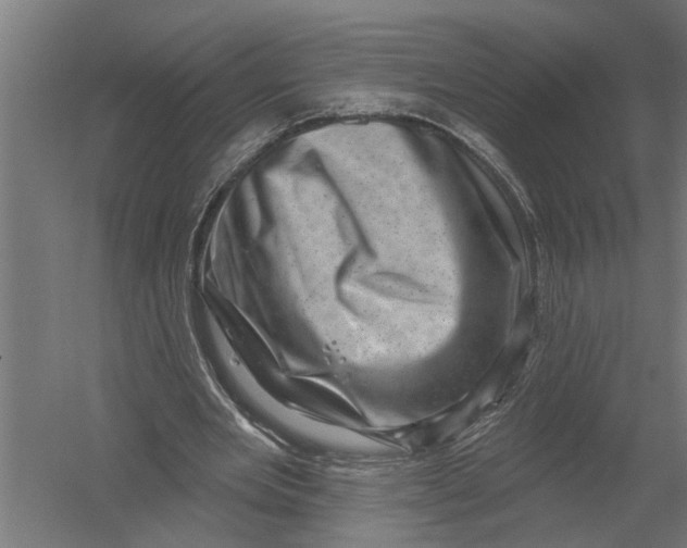 X0000052930485200507292356