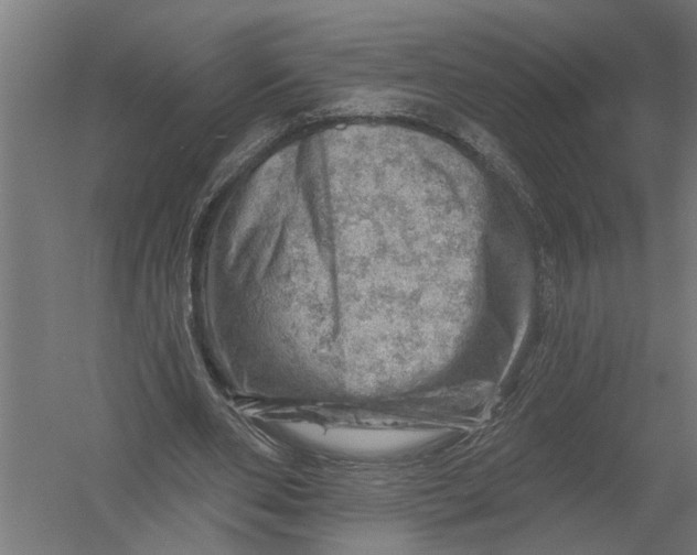 X0000052930486200507292356