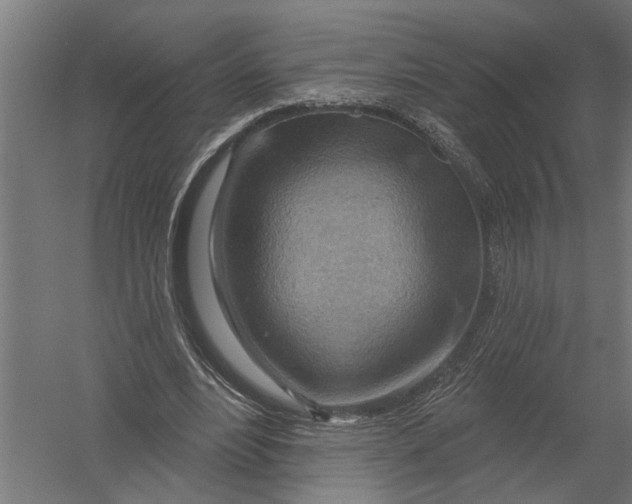 X0000052930488200507292356