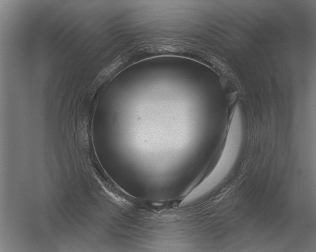 X0000052930489200507292356