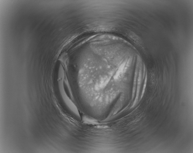 X0000052930491200507292356