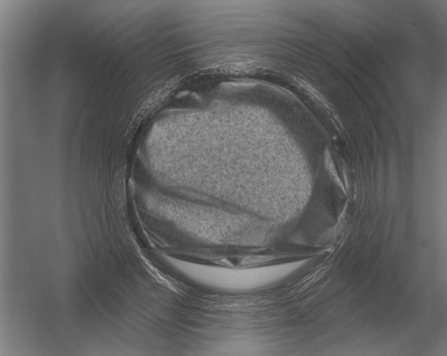 X0000052930493200507292356