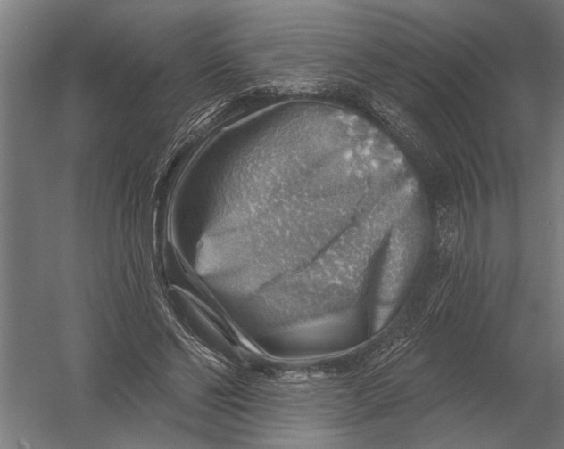 X0000052930494200507292356