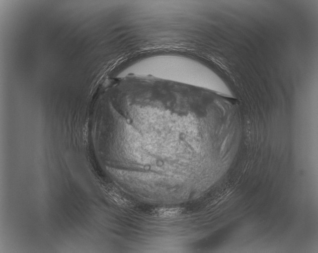 X0000052930495200507292356