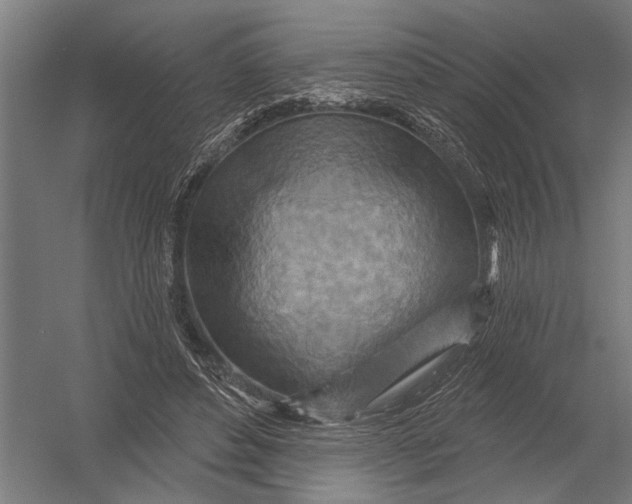 X0000052930496200507292356