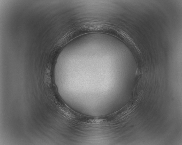 X0000052930497200507292356