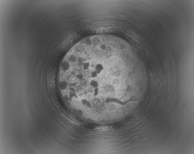 X0000052930499200507292356