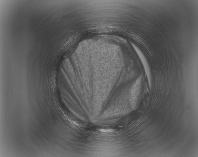 X0000052930501200507292356