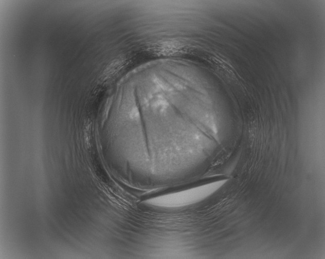 X0000052930503200507292356