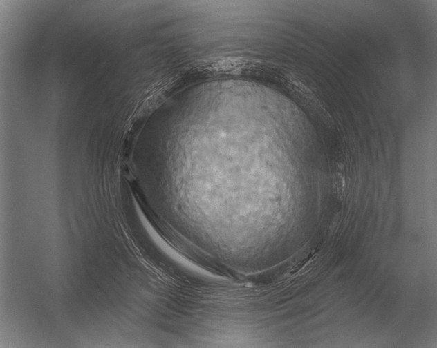 X0000052930504200507292356