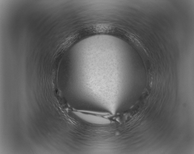 X0000052930505200507292356