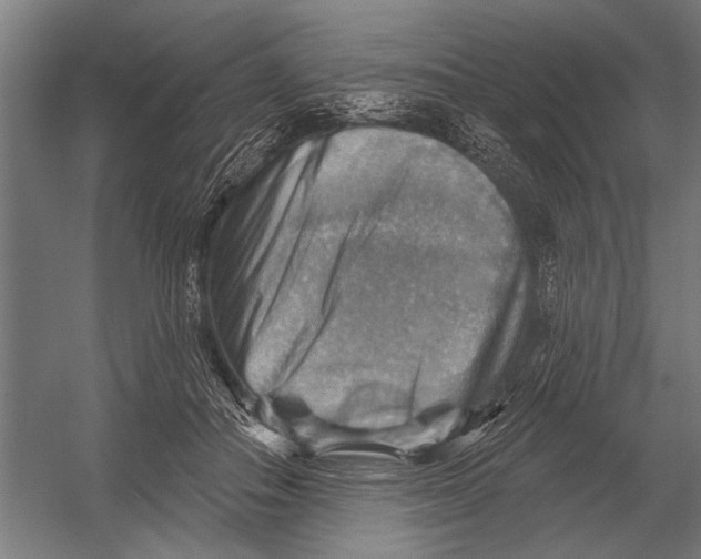 X0000052930506200507292356