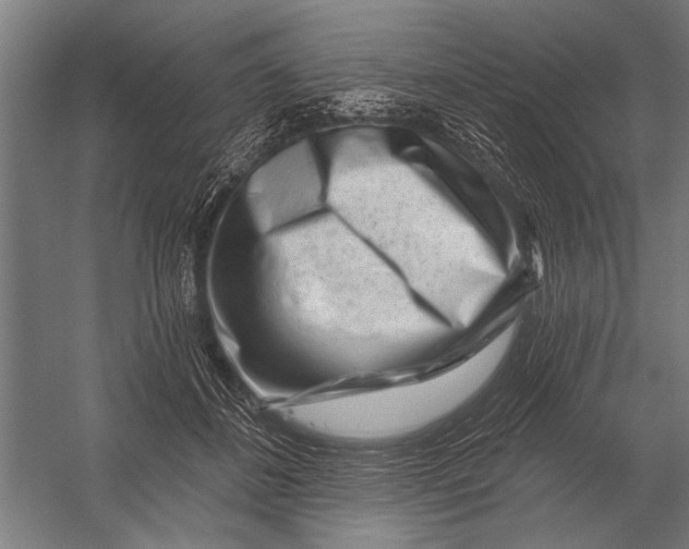 X0000052930508200507292356