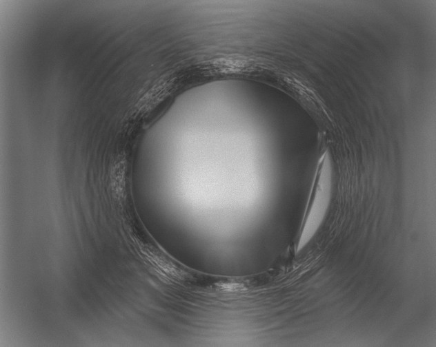 X0000052930509200507292355