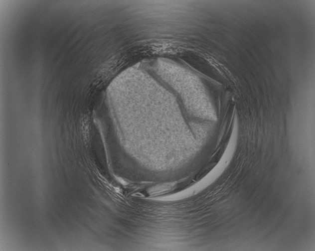 X0000052930513200507292355