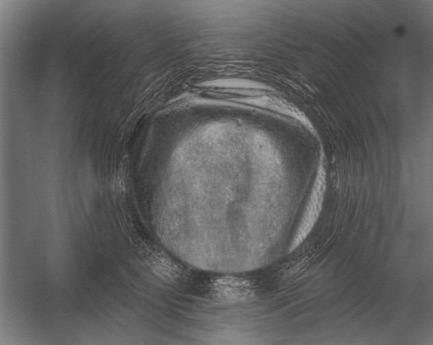 X0000052930515200507292355