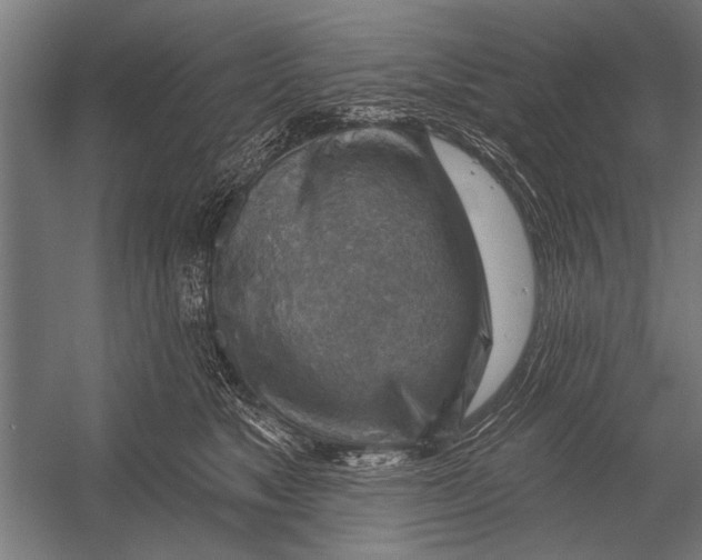 X0000052930517200507292355