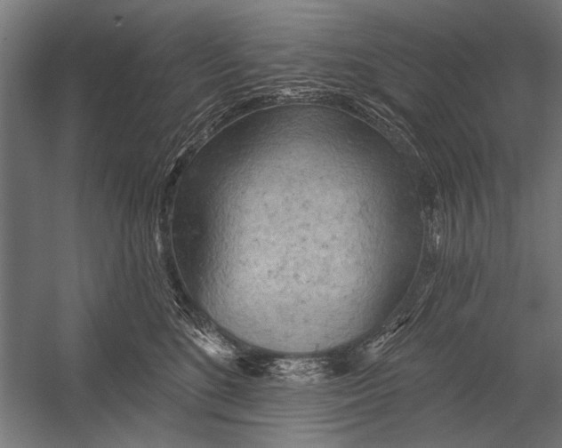 X0000052930520200507292355