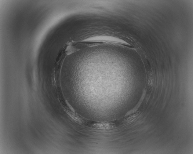 X0000052930524200507292355