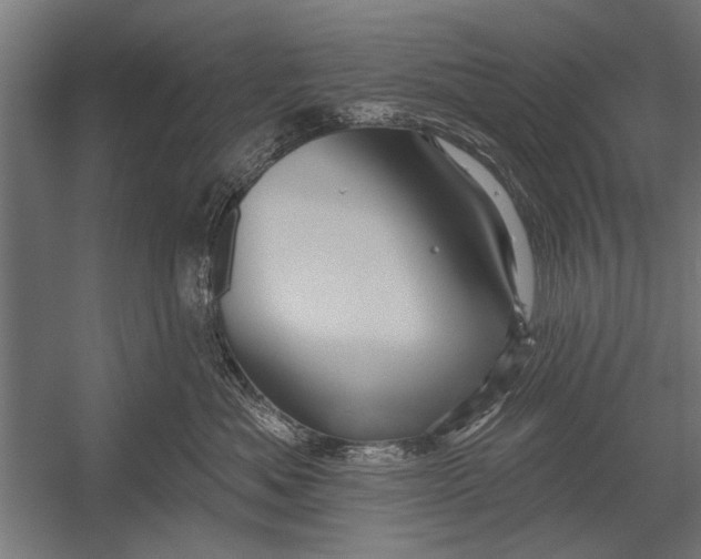 X0000052930525200507292355