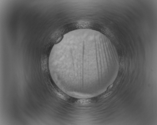 X0000052930526200507292355