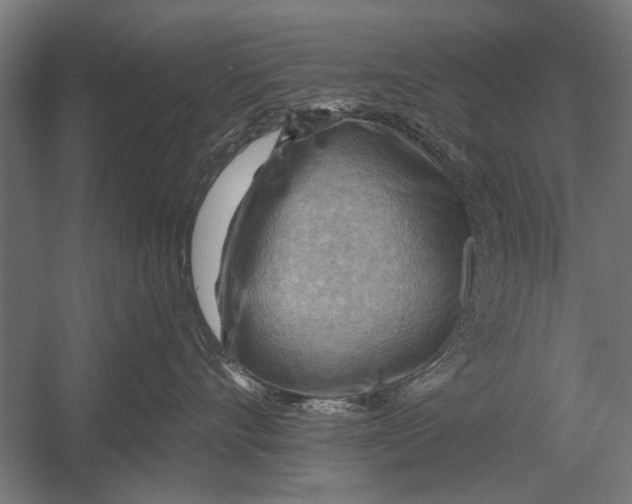 X0000052930528200507292355