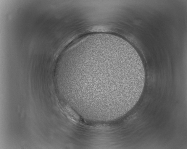 X0000052930529200507292354