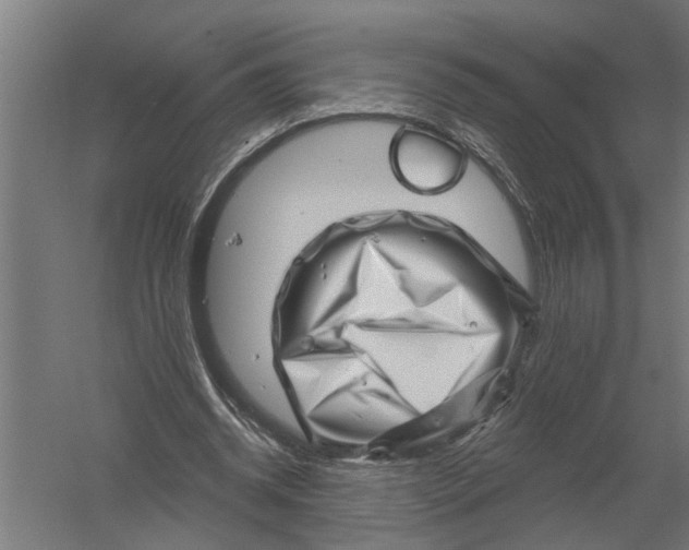 X0000052930534200507292354