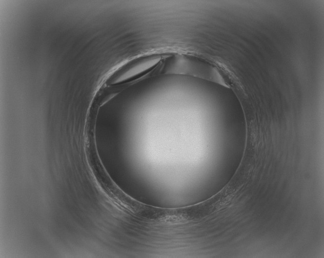 X0000052930536200507292354