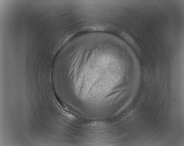 X0000052930537200507292354