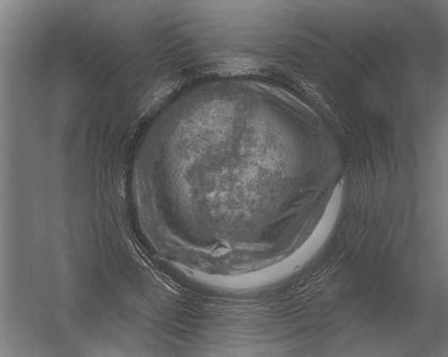 X0000052930539200507292355