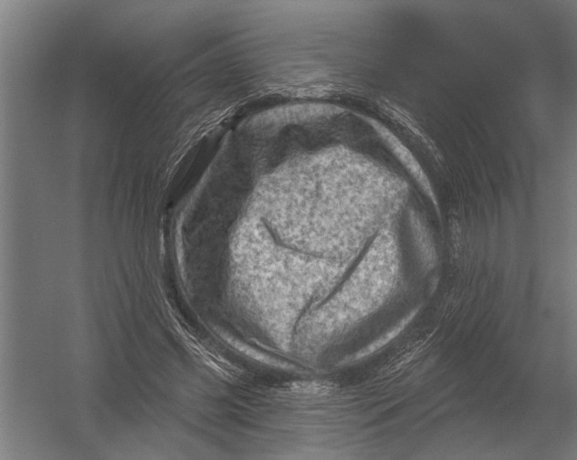 X0000052930541200507292355