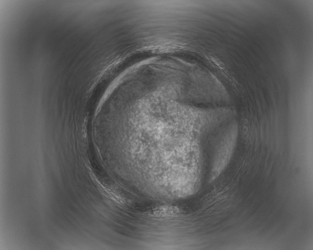 X0000052930543200507292355