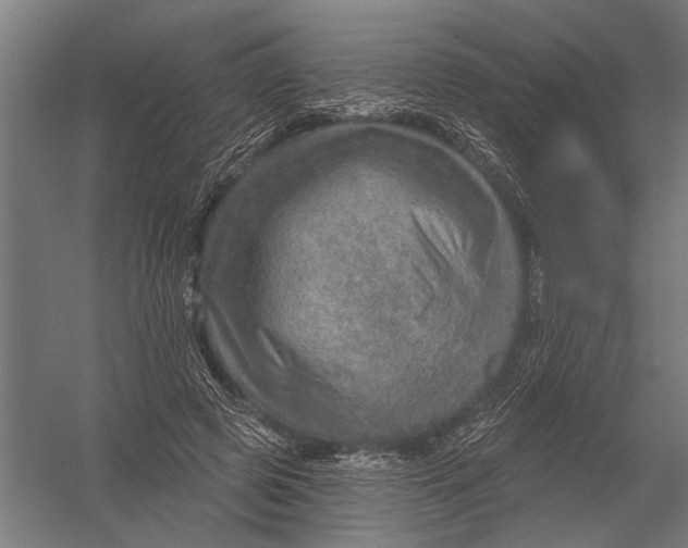 X0000052930545200507292355